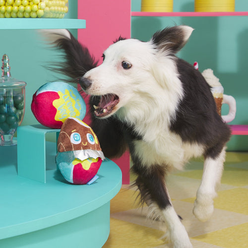 Cadfurry Eggs Plush Fetch Dog Toy