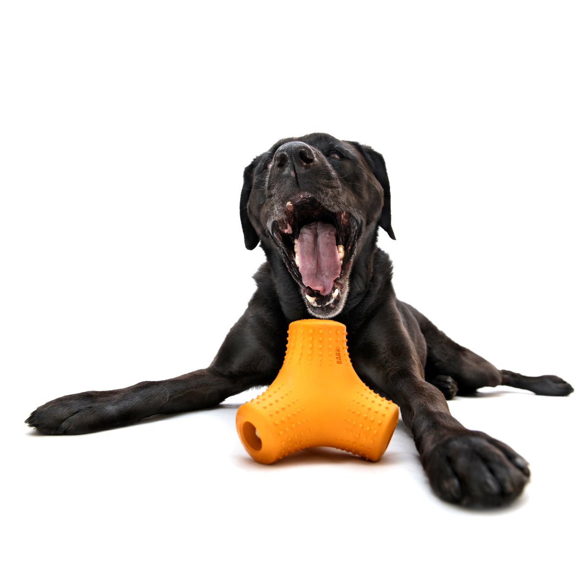 Coral Teef Super Chewer Durable Gnaw + Fetch Dog Toy