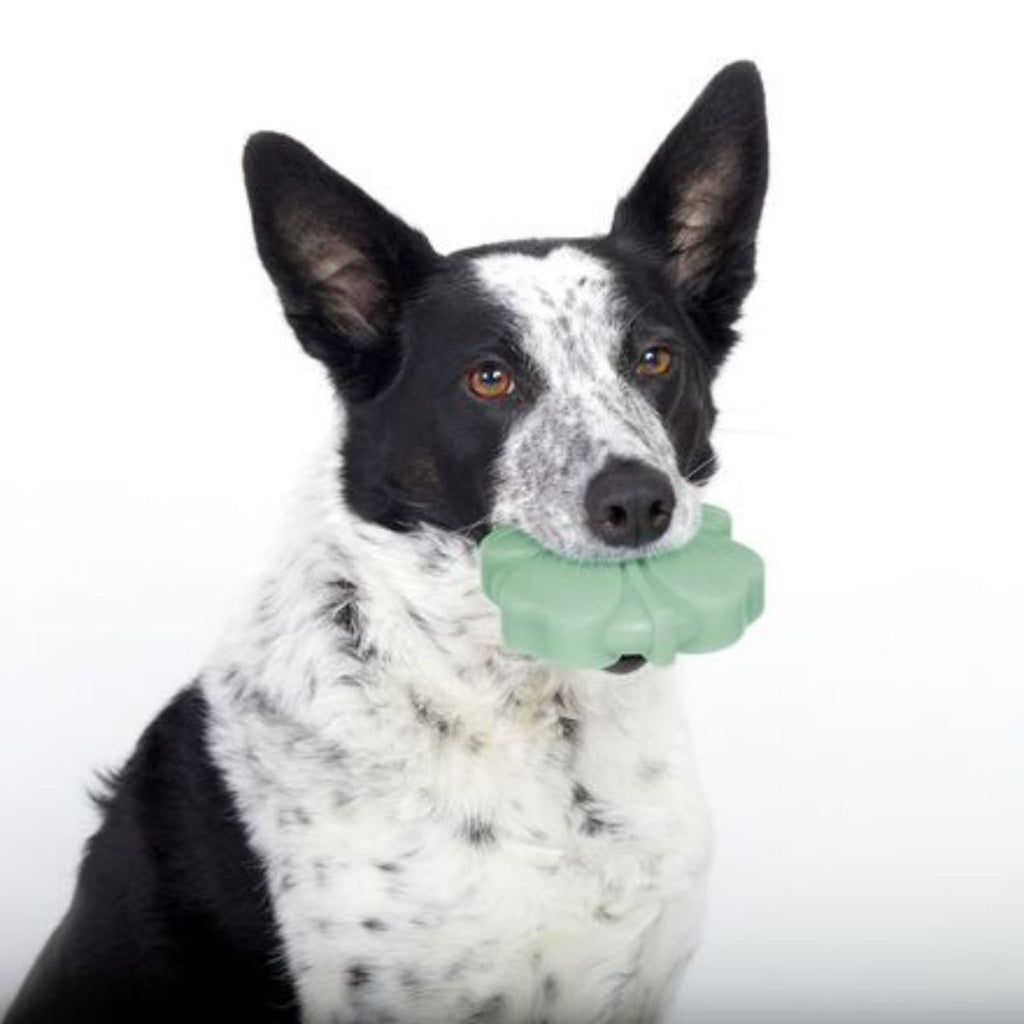 Fur Leaf Clover Durable Super Chewer Gnaw Dog Toy