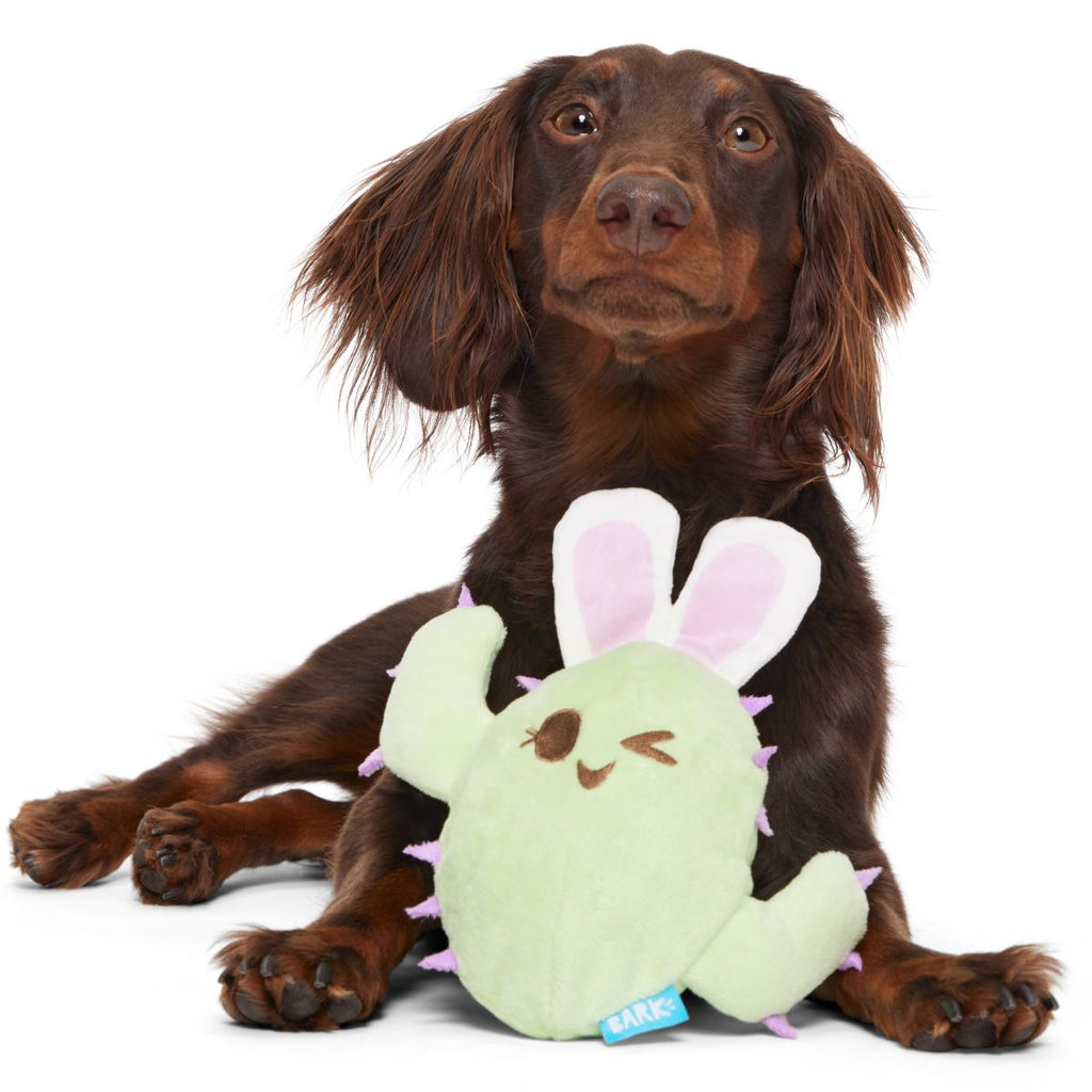 Consuela the Hoppy Cactus Plush 2-in-1 Rip and Reveal + Tug Dog Toy