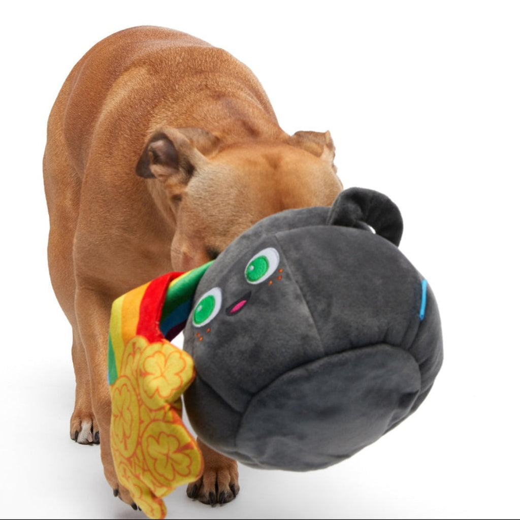 St. Pup's Pot o' Gold Plush Tug Dog Toy