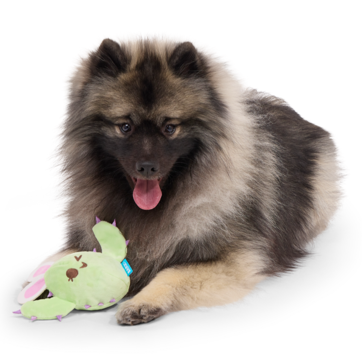 Consuela the Hoppy Cactus Plush 2-in-1 Rip and Reveal + Tug Dog Toy