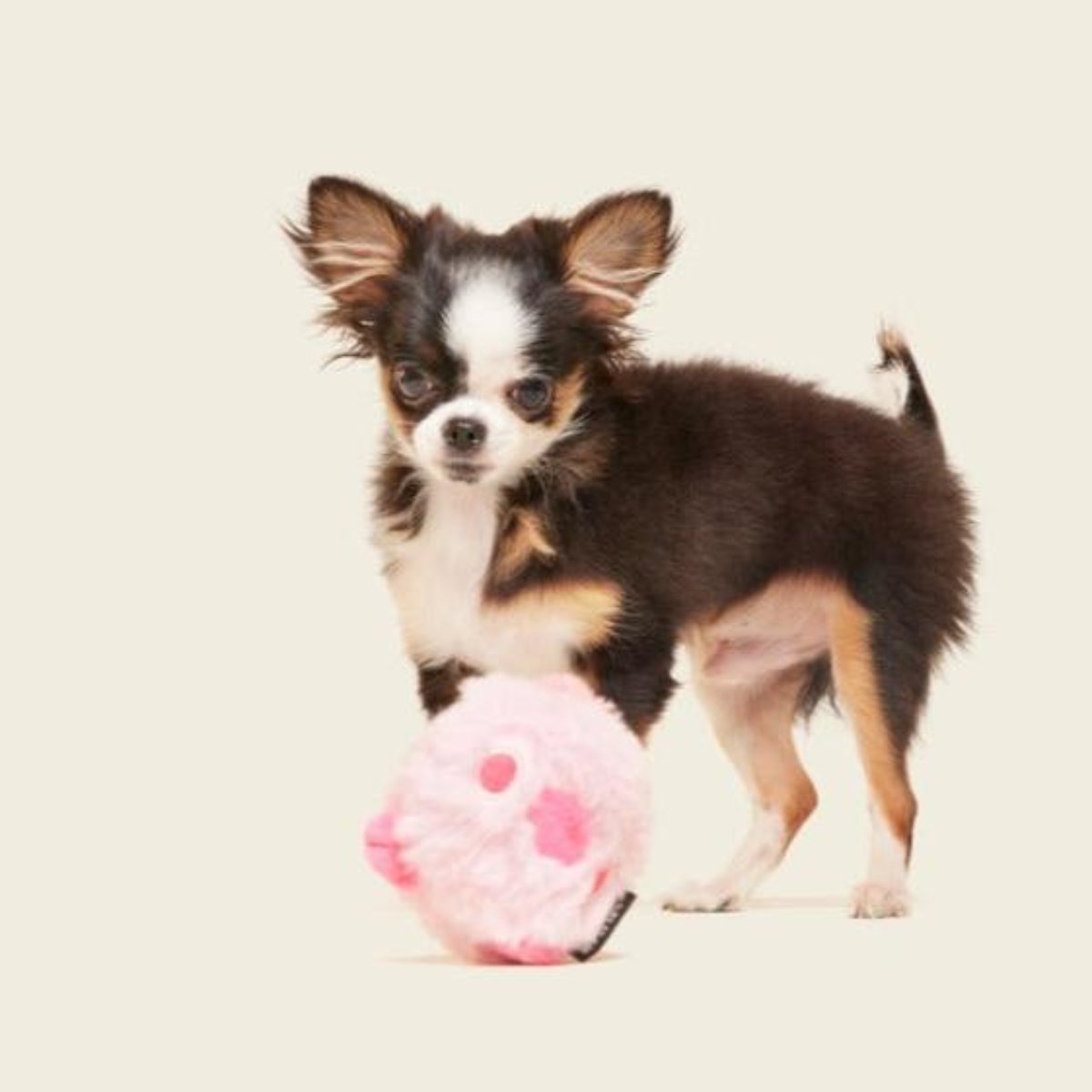 Rosy Tough Chick Super Chewer Durable 2-in-1 Dog Toy