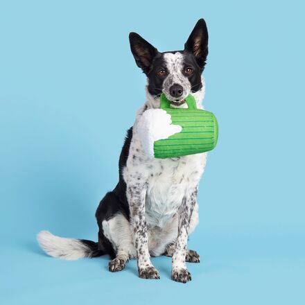 The Glass Is Greener Plush Dog Toy