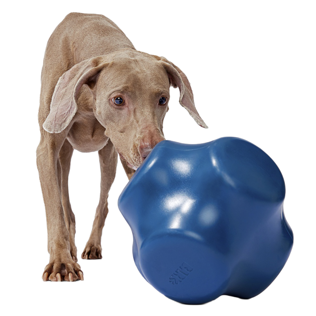 Bolder Super Chewer Durable Extra-Large Enrichment Dog Toy