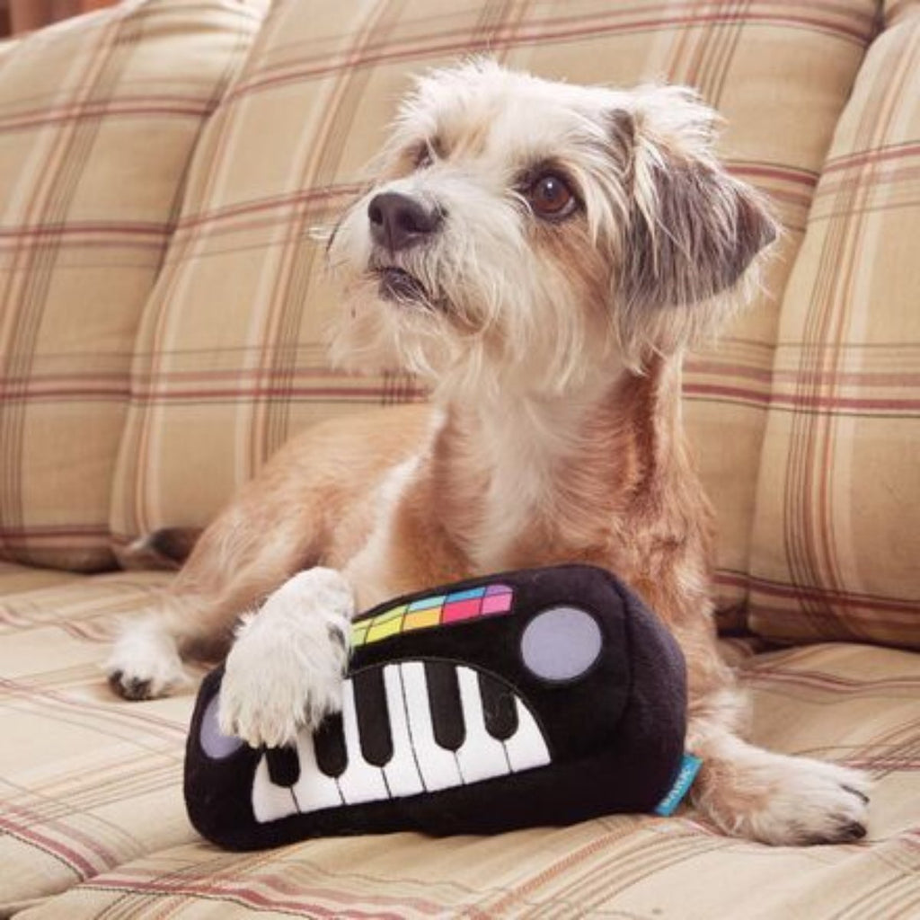 Squeaky Wonder Keyboard Plush Dog Toy